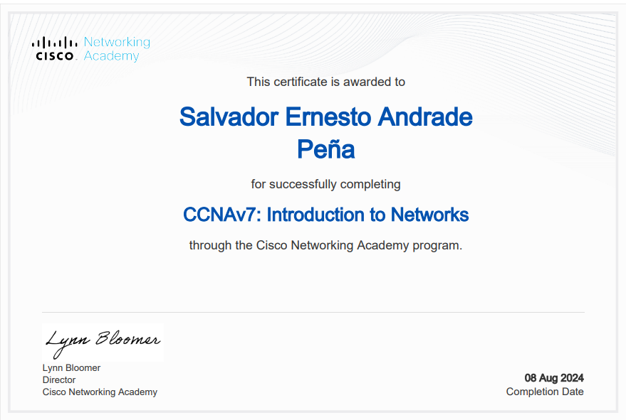 Diploma 2